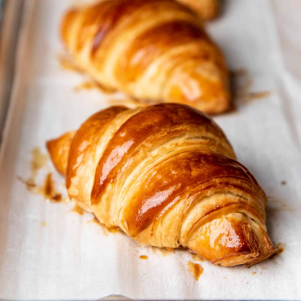 Image of a croissant